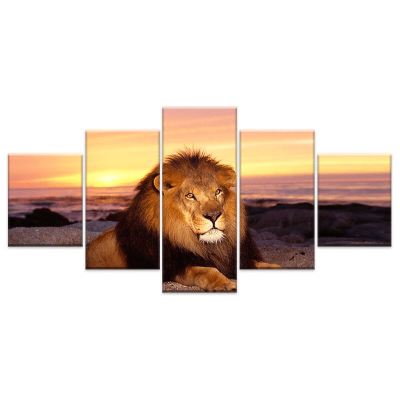 lion soleil