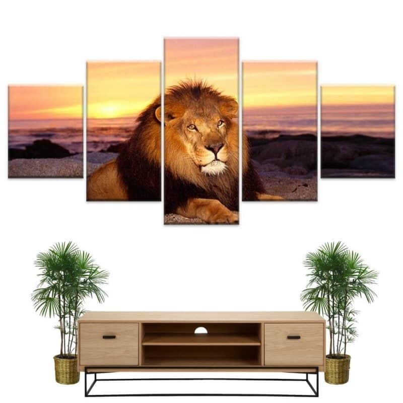tableau lion couche de soleil 70
