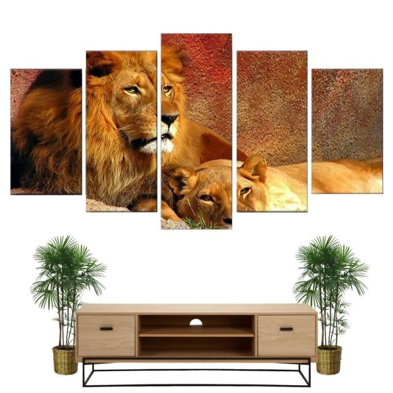 tableau lion et lionne couleurs 98